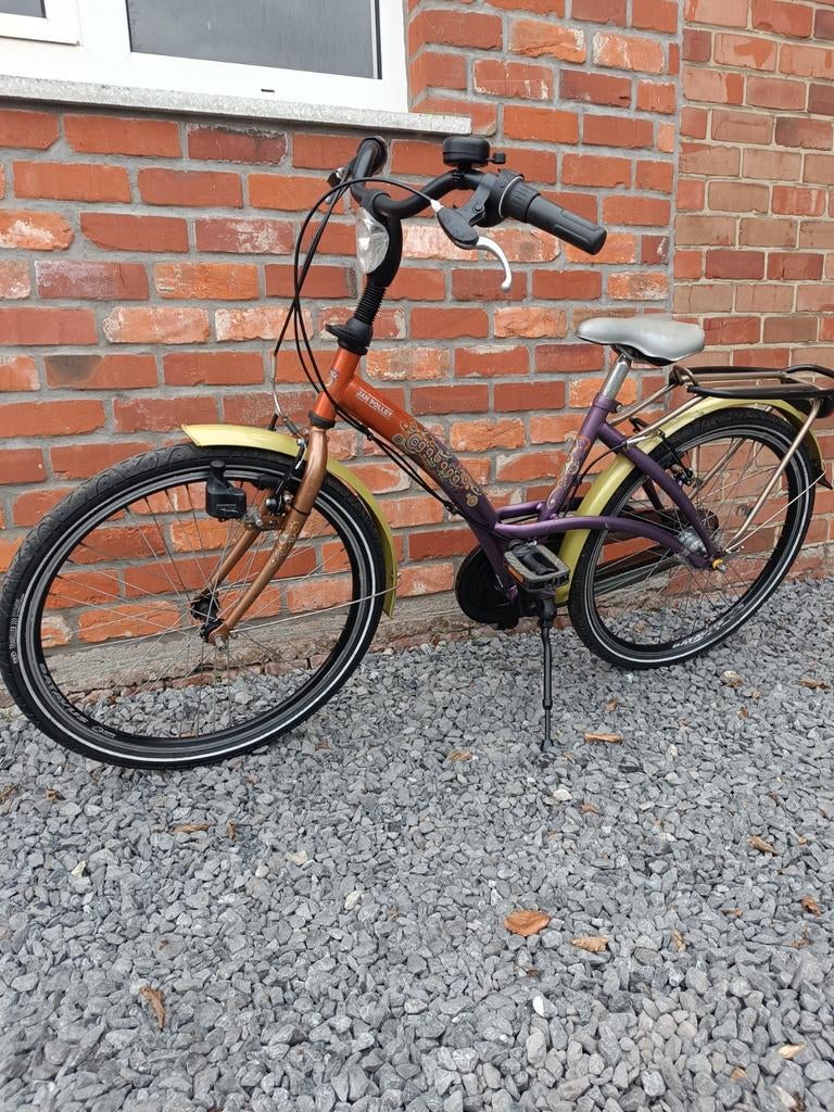Meisjes fiets 24inch, Enlèvement