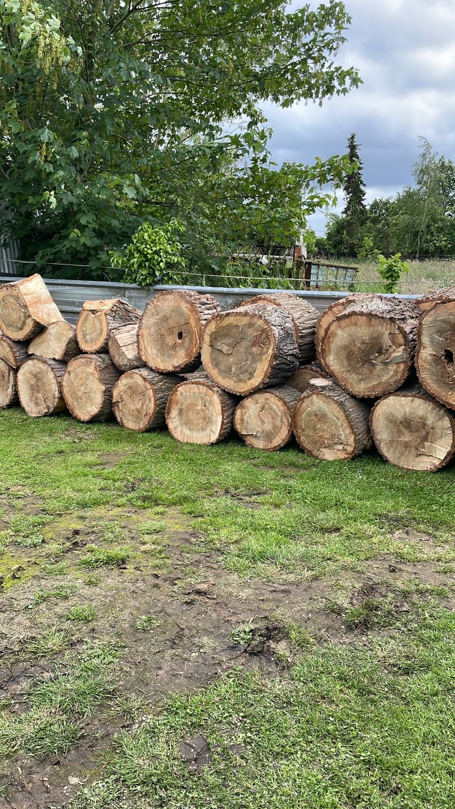 Bois de chauffage, ( peuplier ) coupé en 40 cm et à refendre, Enlèvement