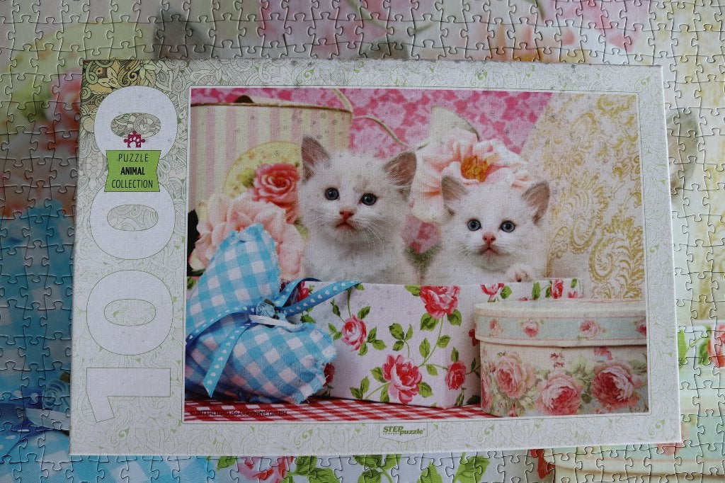 Puzzle 1000 pièces - Chatons dans la boîte, Enlèvement, Puzzle