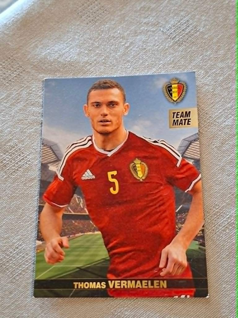 Voetbalkaart : Thomas Vermaelen / Rode Duivels / EK 2016, Verzamelen, Ophalen of Verzenden, Zo goed als nieuw, Spelerskaart