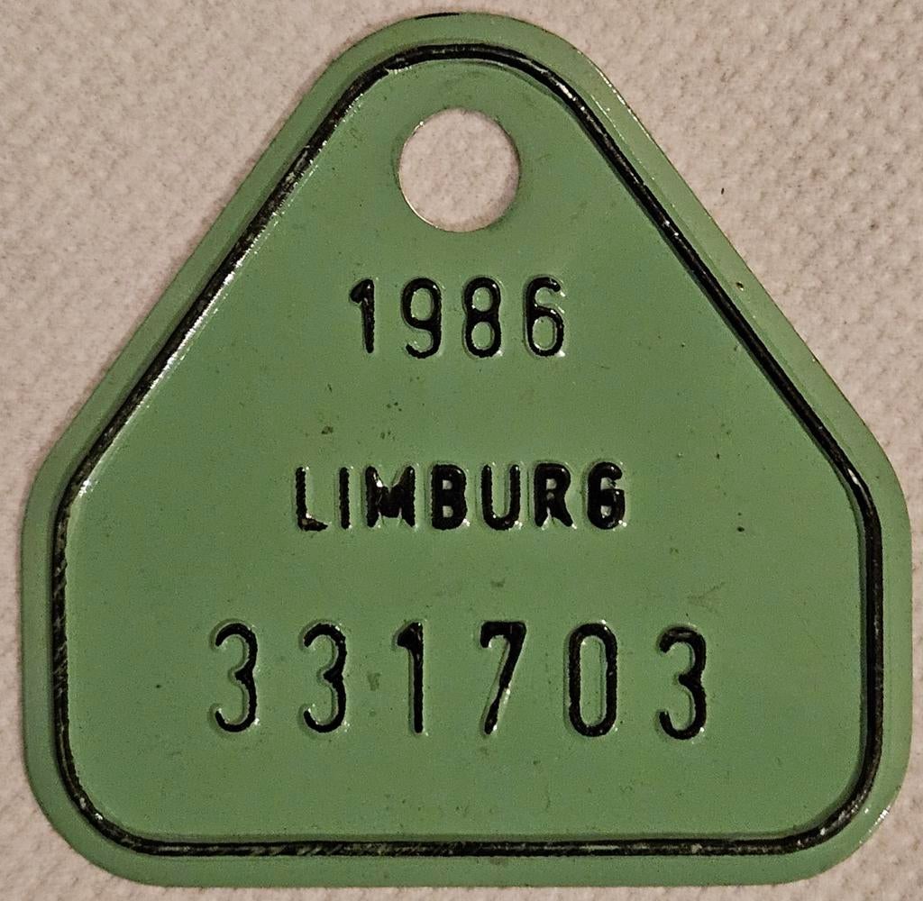 Plaque de branchement de vélo Limburg 1986 331703
Cet objet, Enlèvement ou Envoi