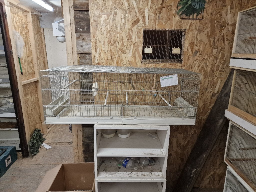vogels, Dieren en Toebehoren, Overige Dieren-accessoires, Ophalen, Gebruikt