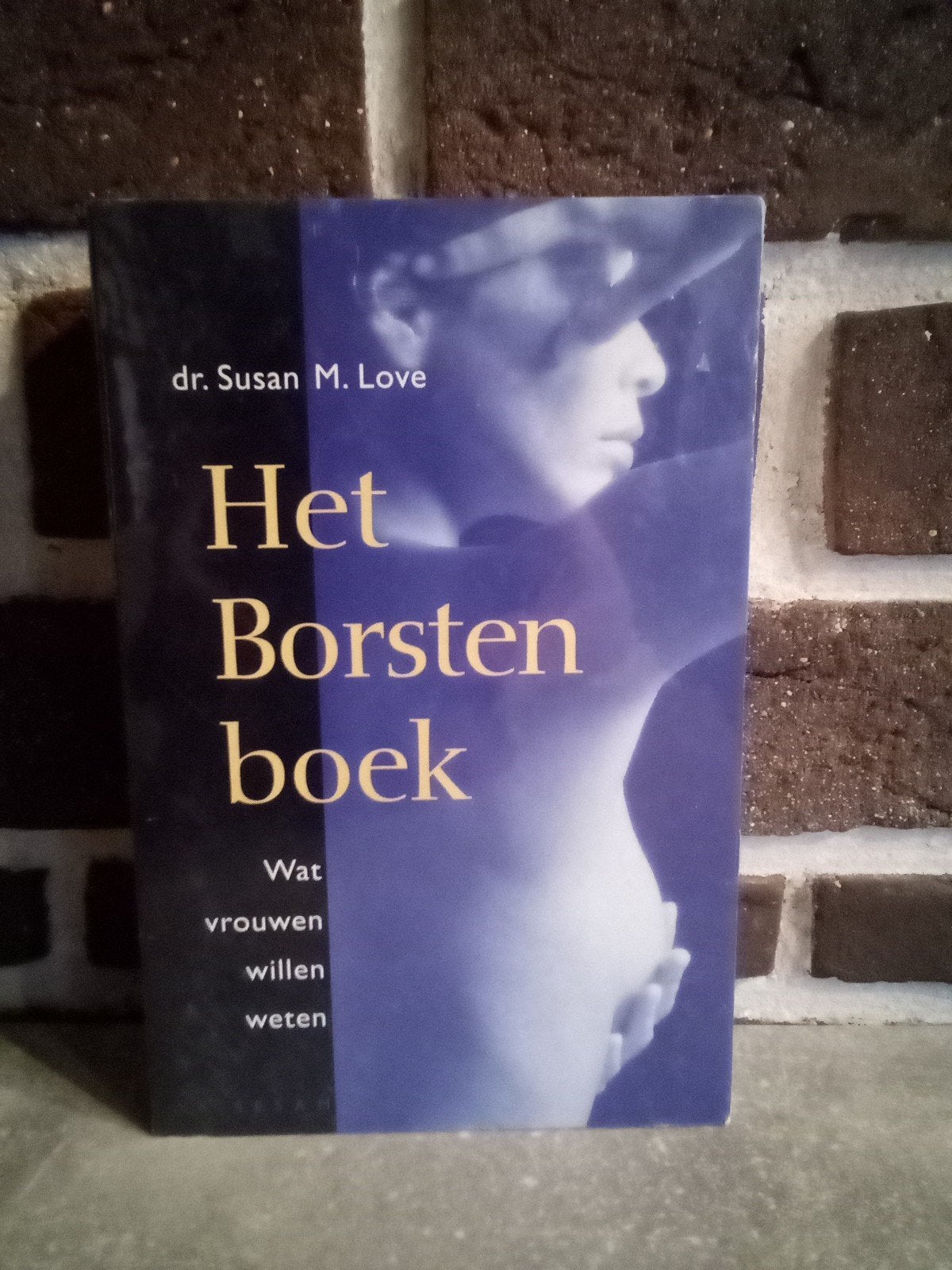 S.M. Love - Het borstenboek, Boeken, Gezondheid, Dieet en Voeding, Ophalen, S.M. Love
