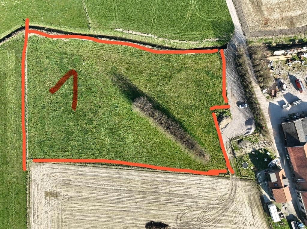 weide voor paarden te huur wervik, Meerdere dieren, Niet van toepassing