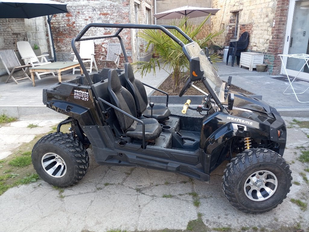 Buggy deux place 200cc, Motoren, 200 cc