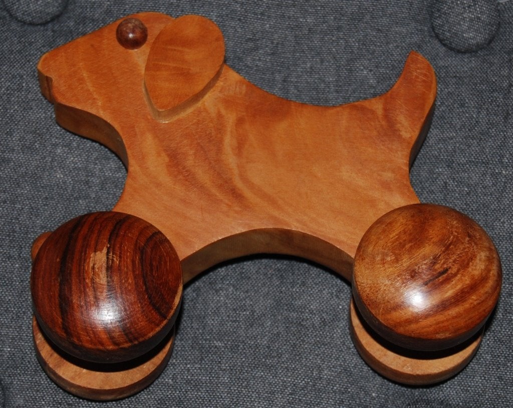 Houten speelgoed (trek Hond), Ophalen of Verzenden, Zo goed als nieuw, Duw- of Trekspeelgoed