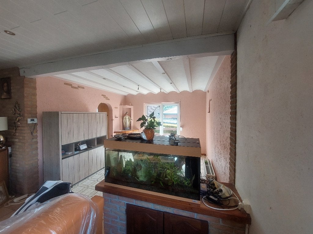 Huisschilder, Immo, Op zoek naar een huis