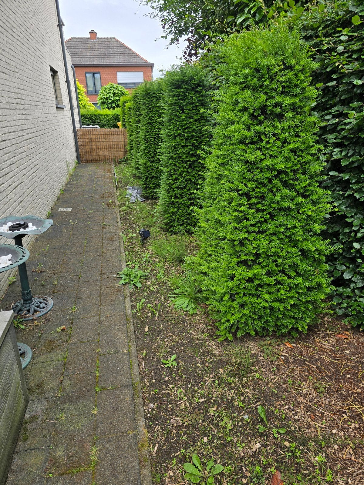 Tuinman in Hoogstraten gezocht!, Services & Professionnels, Jardiniers & Paveurs