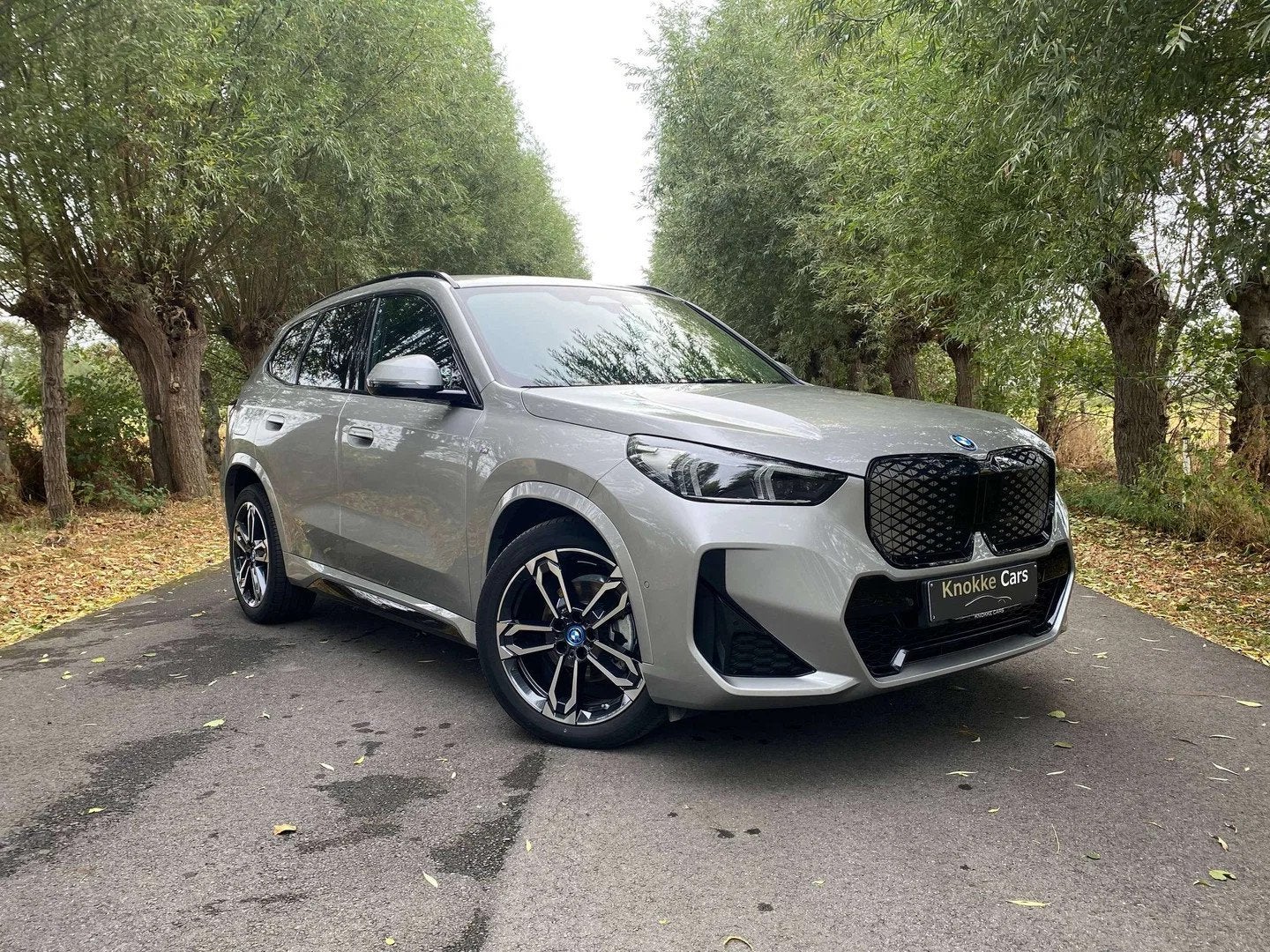 BMW iX1 M-Sportpack compleet,Privacy Glass,Sportzetels,Elekt, Automaat, Gebruikt, Leder, 5 deurs