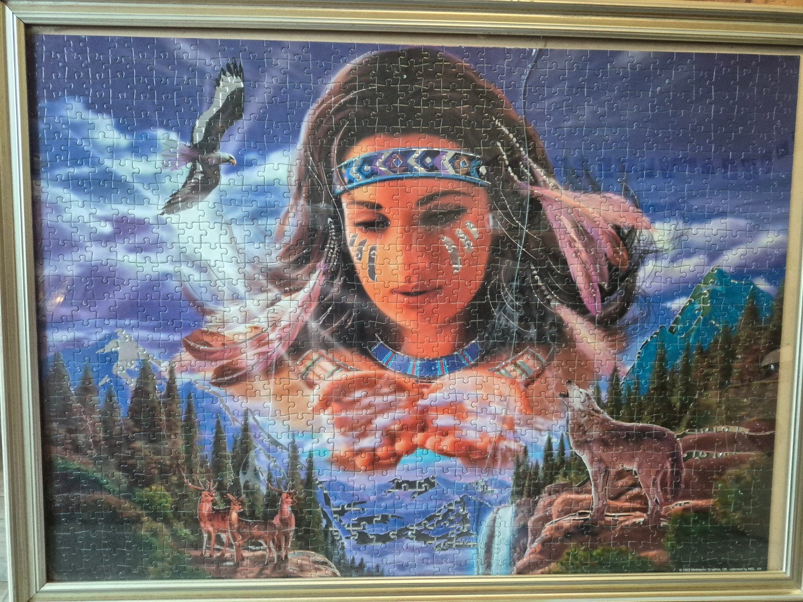 gemaakte puzzel ingekaderd Indianen wel barst in glas, Enlèvement
