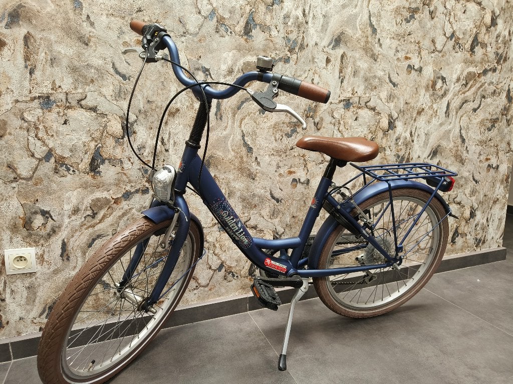Golden Lion 7-speed 22 inch meisjesfiets, Fietsen en Brommers, Fietsen | Kinderfietsjes, Ophalen, 20 inch of meer, Gebruikt, Velgrem