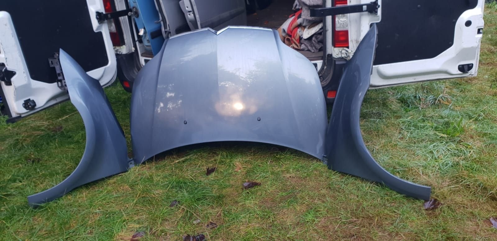 CITROËN C4 MOTORKAP +VOORSCHERMEN BJ 2004 TOT 2009, -, Utilisé, -, Capot moteur