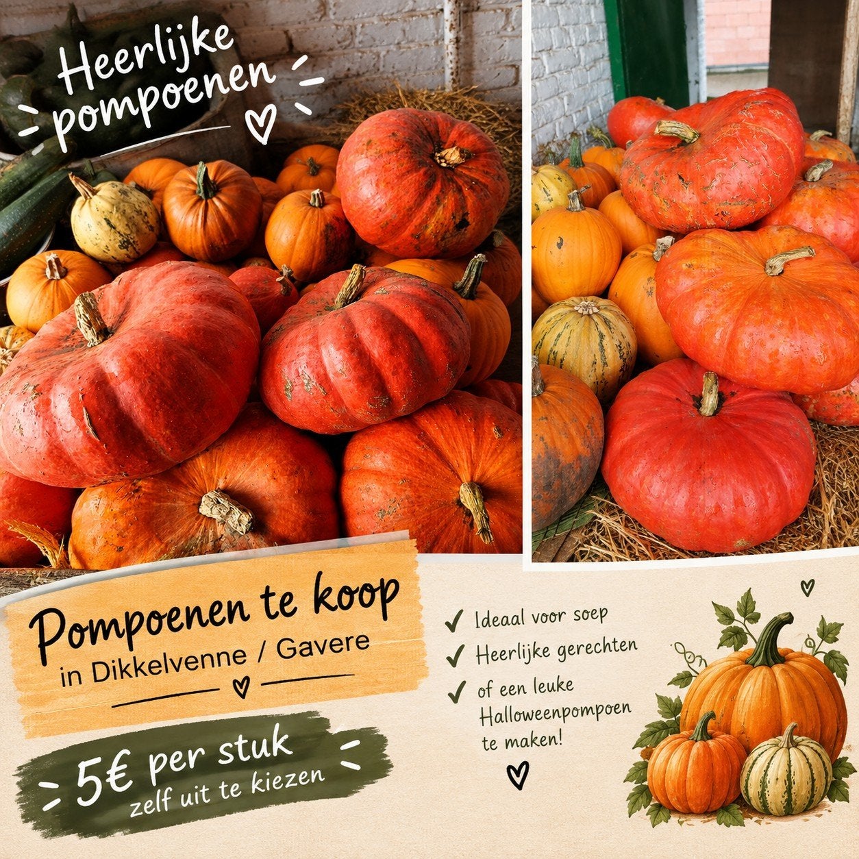 pompoenen, Tuin en Terras, Ophalen