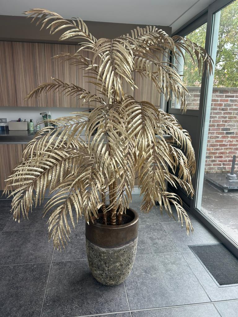 Gouden palmboom met pot (hoog), Tuin en Terras, Ophalen, Palmboom