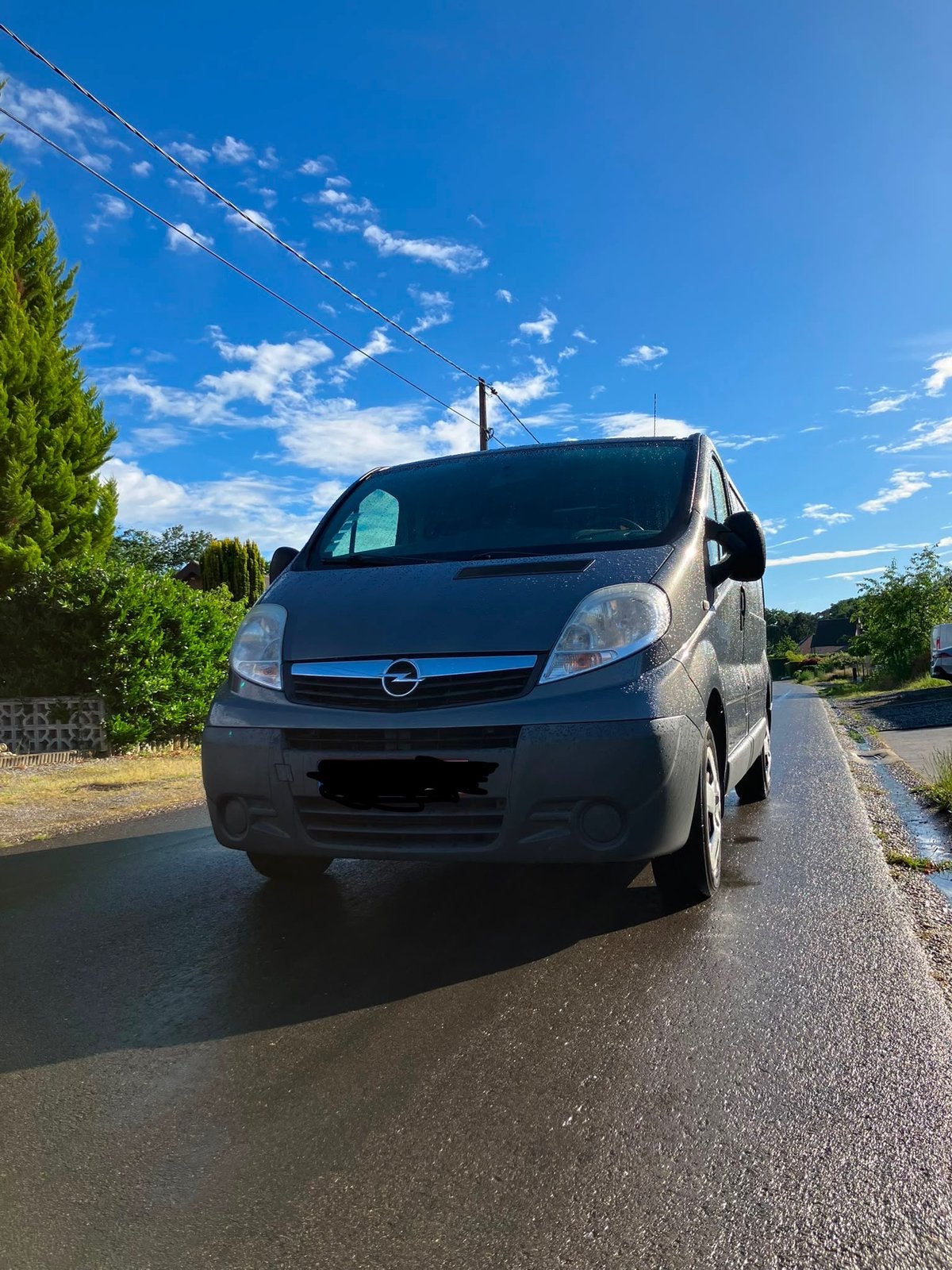 Opel Vivaro 2.0 - in goede staat - onmiddellijk beschikbaar, Bluetooth, Euro 5, Leder en Stof, Particulier