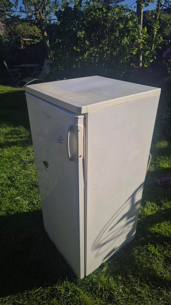 Frigo zanussi gratis. Werkt perfect., Ophalen