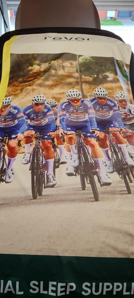 Affiche van Alpecin Decenink, Rechthoekig Staand, Deurposter of groter, Nieuw, Ophalen of Verzenden
