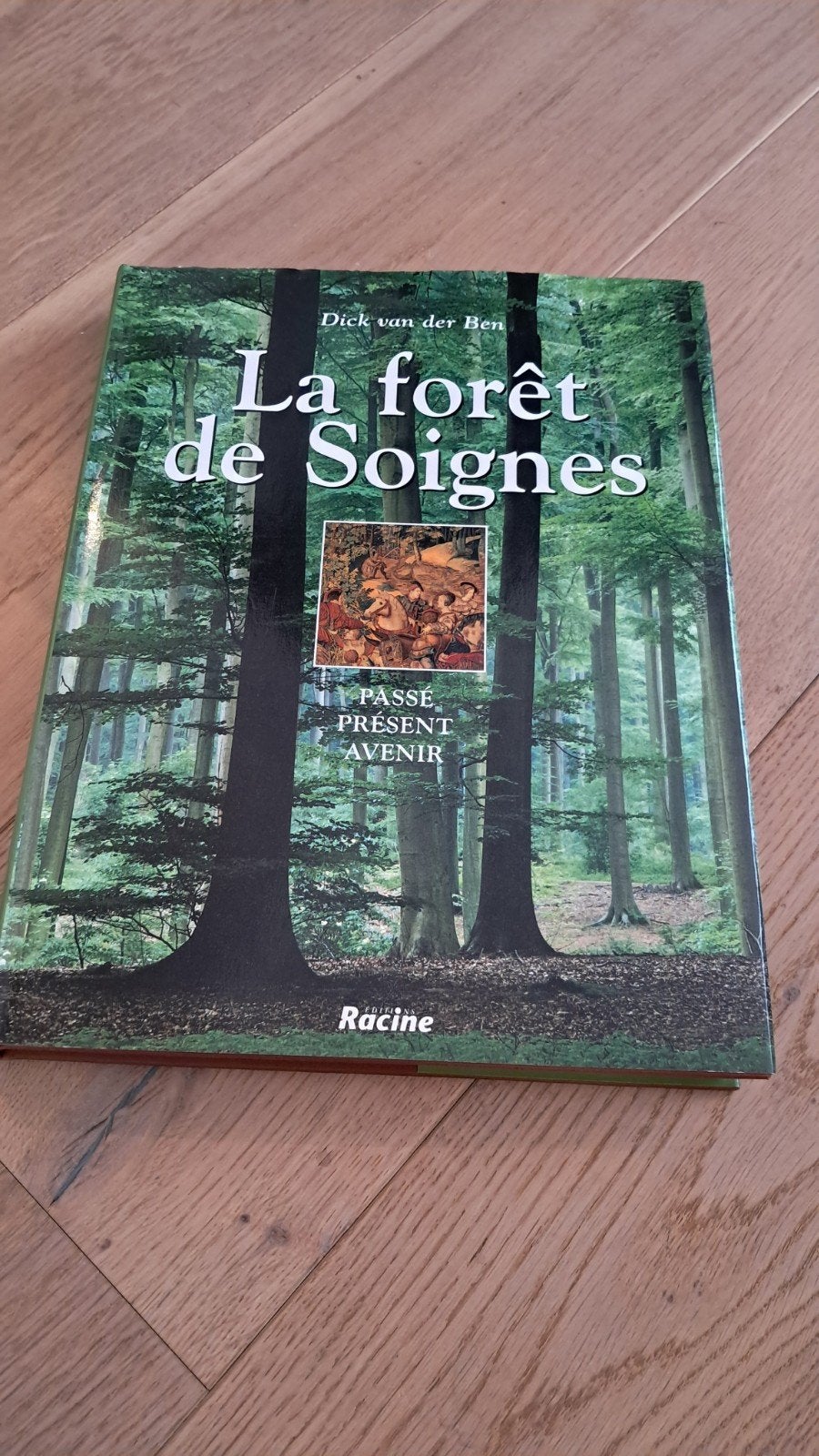 la forêt de Soignes, Enlèvement ou Envoi, Utilisé, 20e siècle ou après, Dick van der Ben