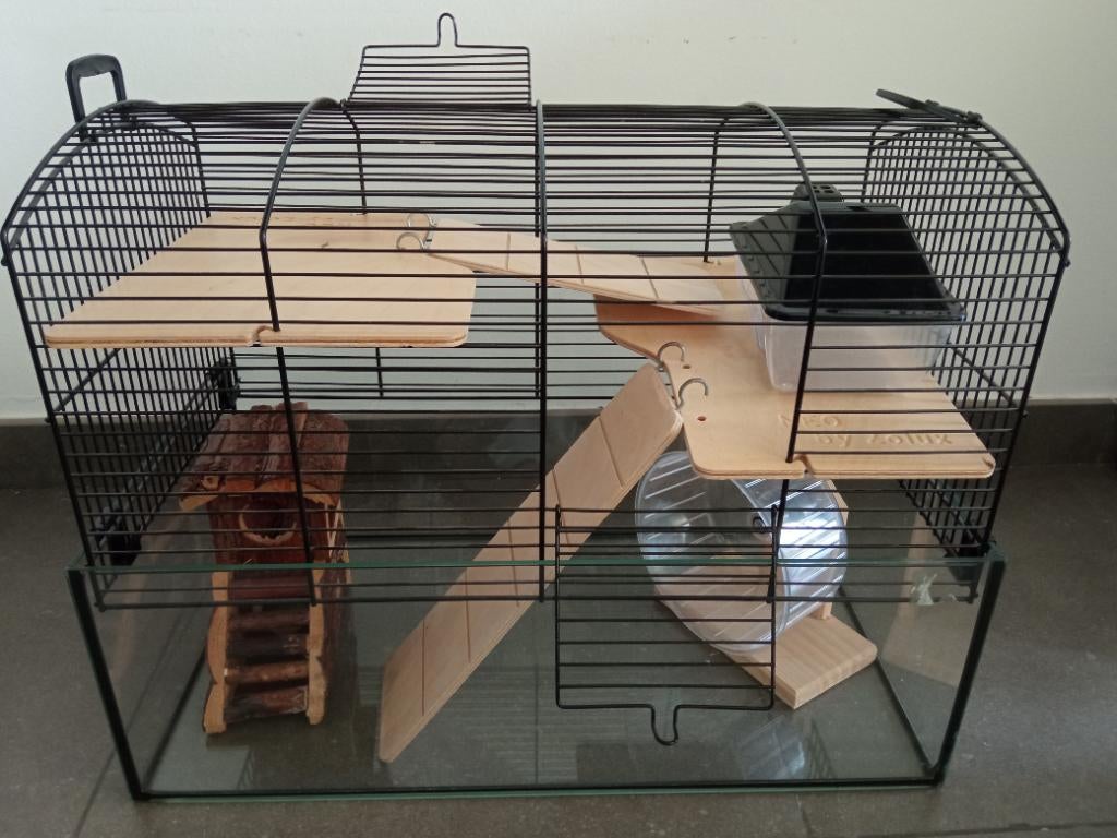Cage pour hamster ou animal similaire, Moins de 60 cm, Cage, Utilisé, Rat