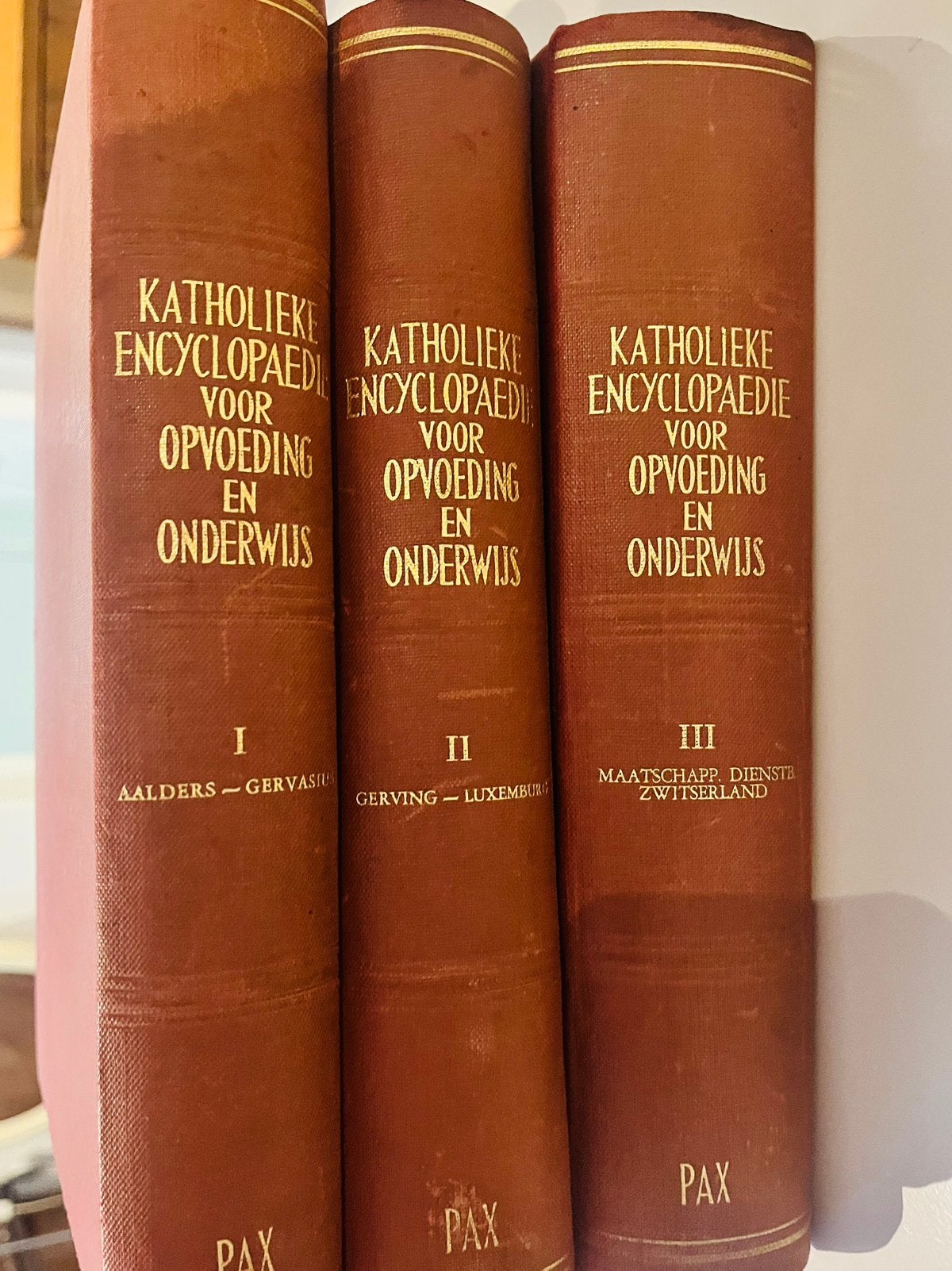 KATHOLIEKE ENCYCLOPEDIE VOOR OPVOEDING EN ONDERWIJS, Boeken, Encyclopedieën, Complete serie, Overige onderwerpen, Ophalen, Gelezen