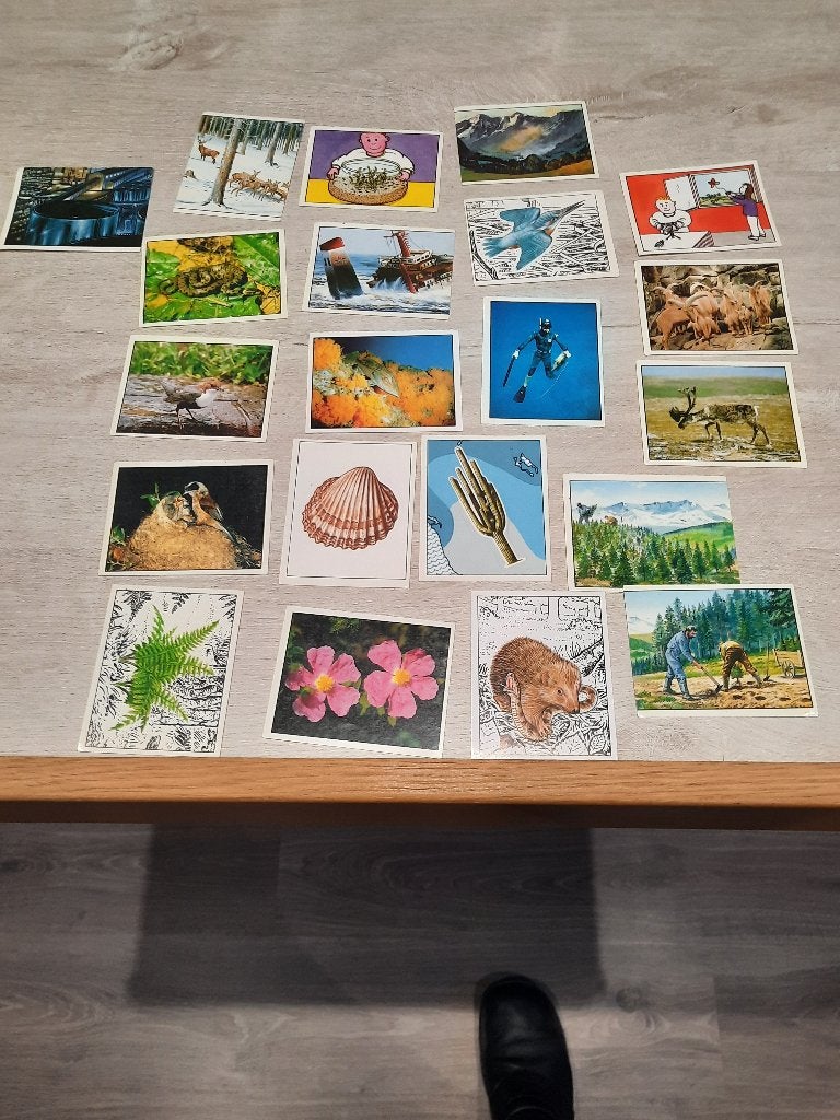 Panini WWF Red de Natuur Nature in Danger 1987 21 stickers, Hobby en Vrije tijd, Stickers en Plaatjes, Ophalen of Verzenden, Zo goed als nieuw
