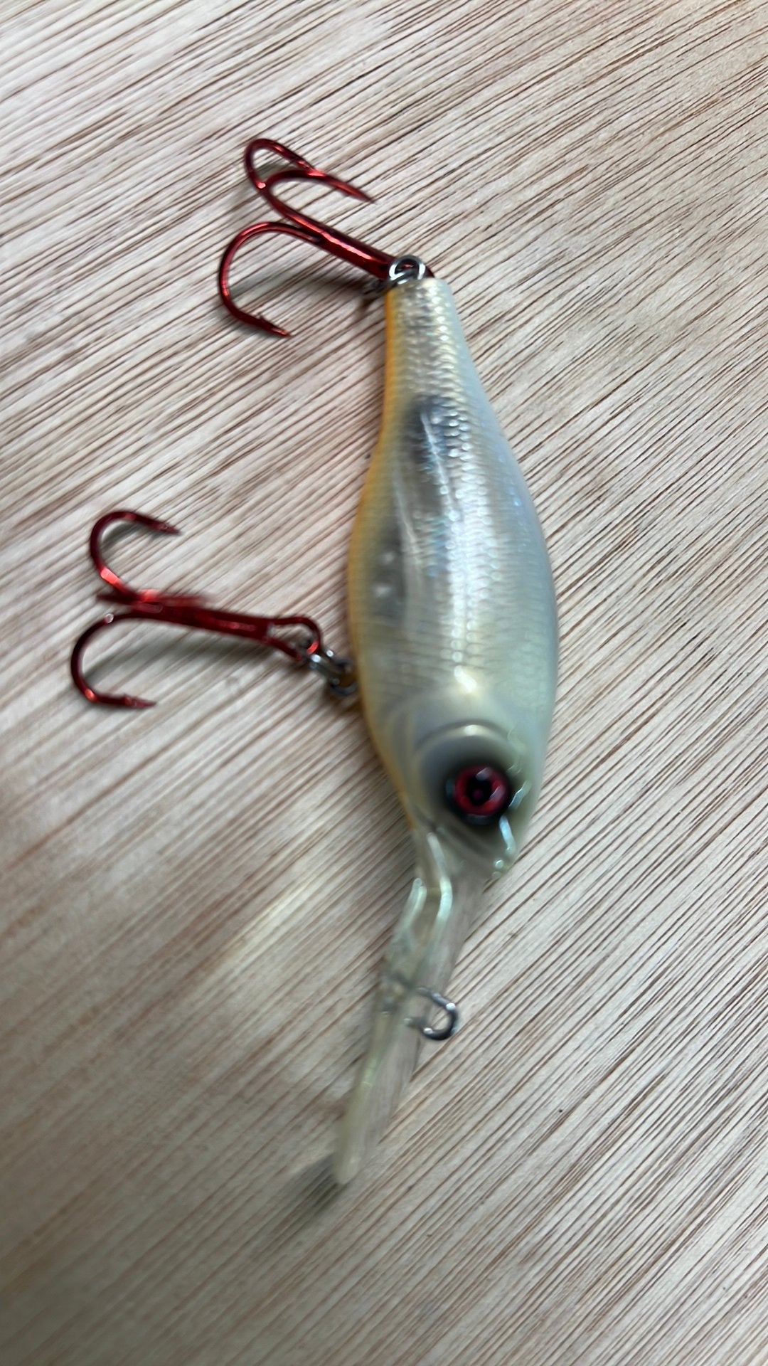 MEGABASS, Watersport en Boten, Ophalen of Verzenden