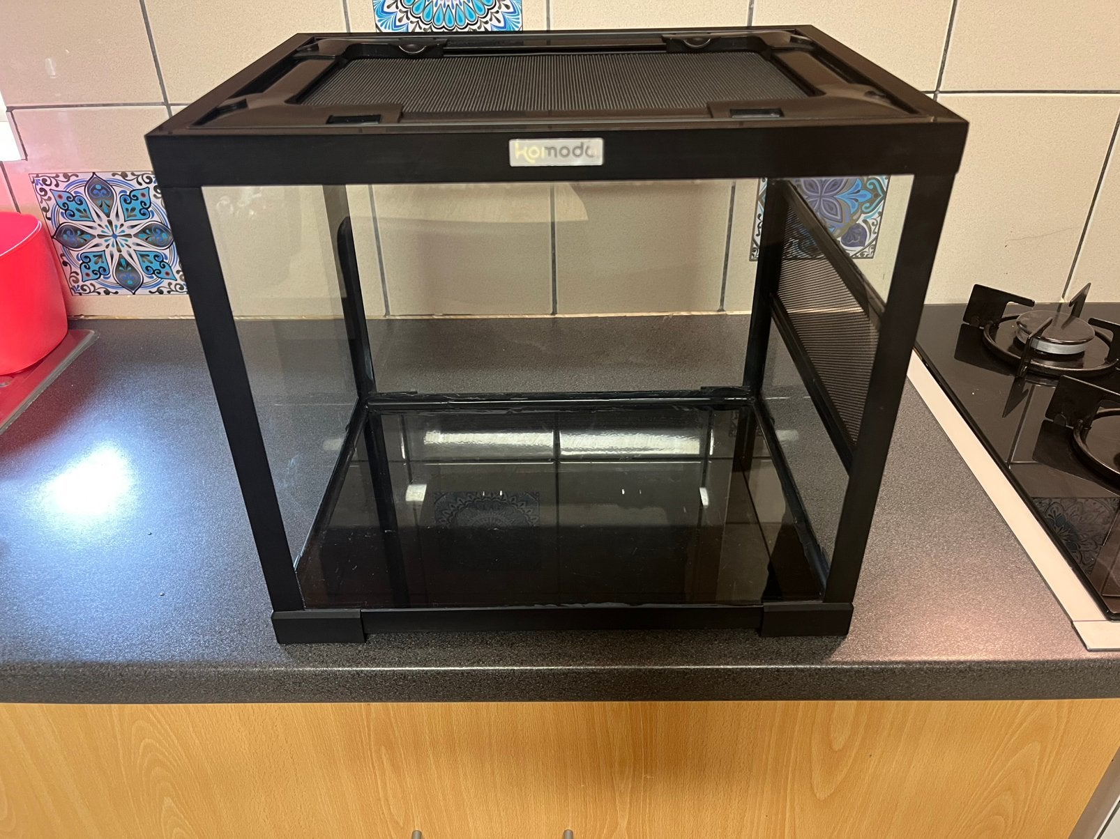 Komodo glazen terrarium 40x30x35 cm – zwart – goede staat, Dieren en Toebehoren, Ophalen, Zo goed als nieuw, Terrarium of Paludarium