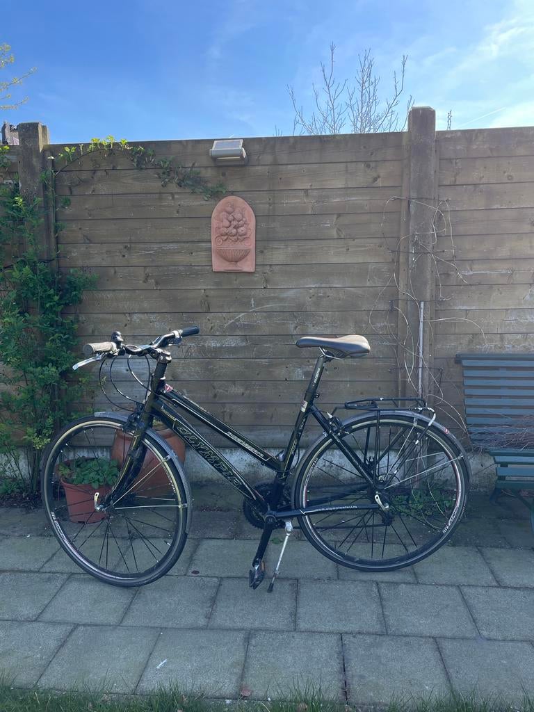 Olympus fiets, Fietsen en Brommers, Gebruikt, Versnellingen, 50 tot 53 cm, Ophalen