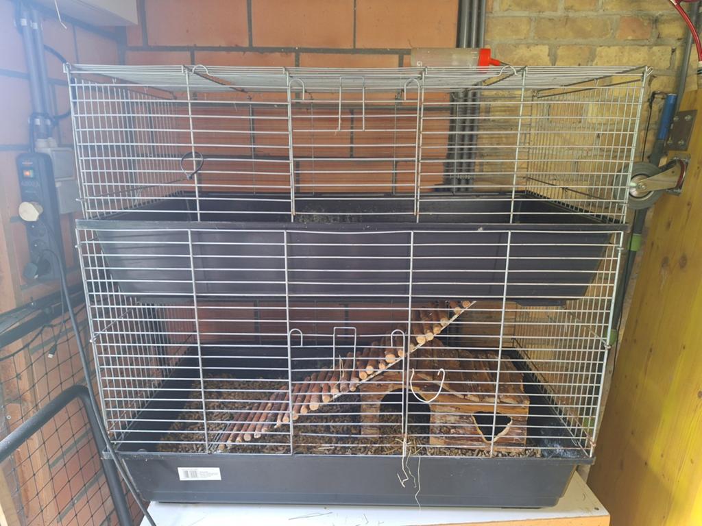 Leuke kooi voor knaagdier, Enlèvement
