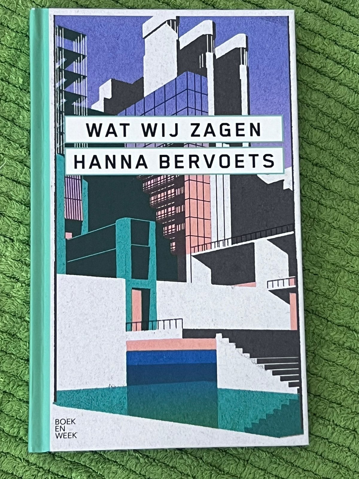 Wat wij zagen. Hanna bervoets, Ophalen of Verzenden, Zo goed als nieuw