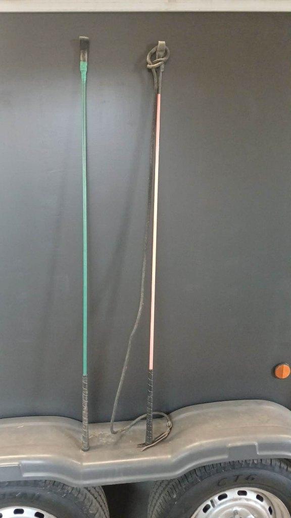 2 Carrot sticks te koop, stick, grondwerk, Dieren en Toebehoren, Ophalen, Zo goed als nieuw, Overige soorten