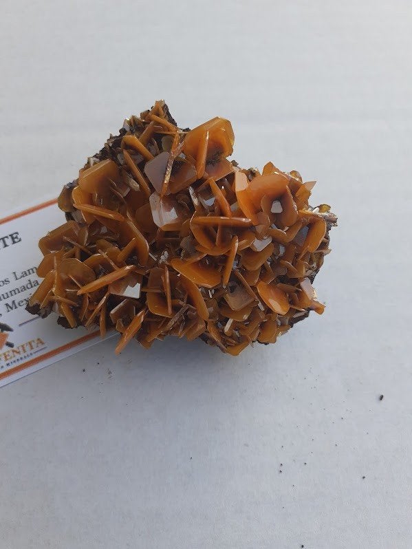 TOP wulfenite Mexico, Ophalen, Mineraal