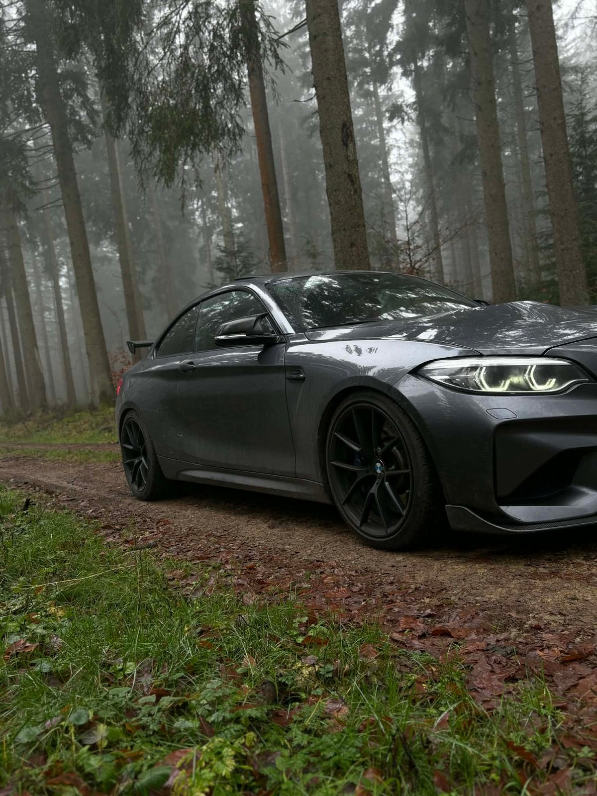 BMW M2, Auto's, Particulier, Alcantara, Te koop