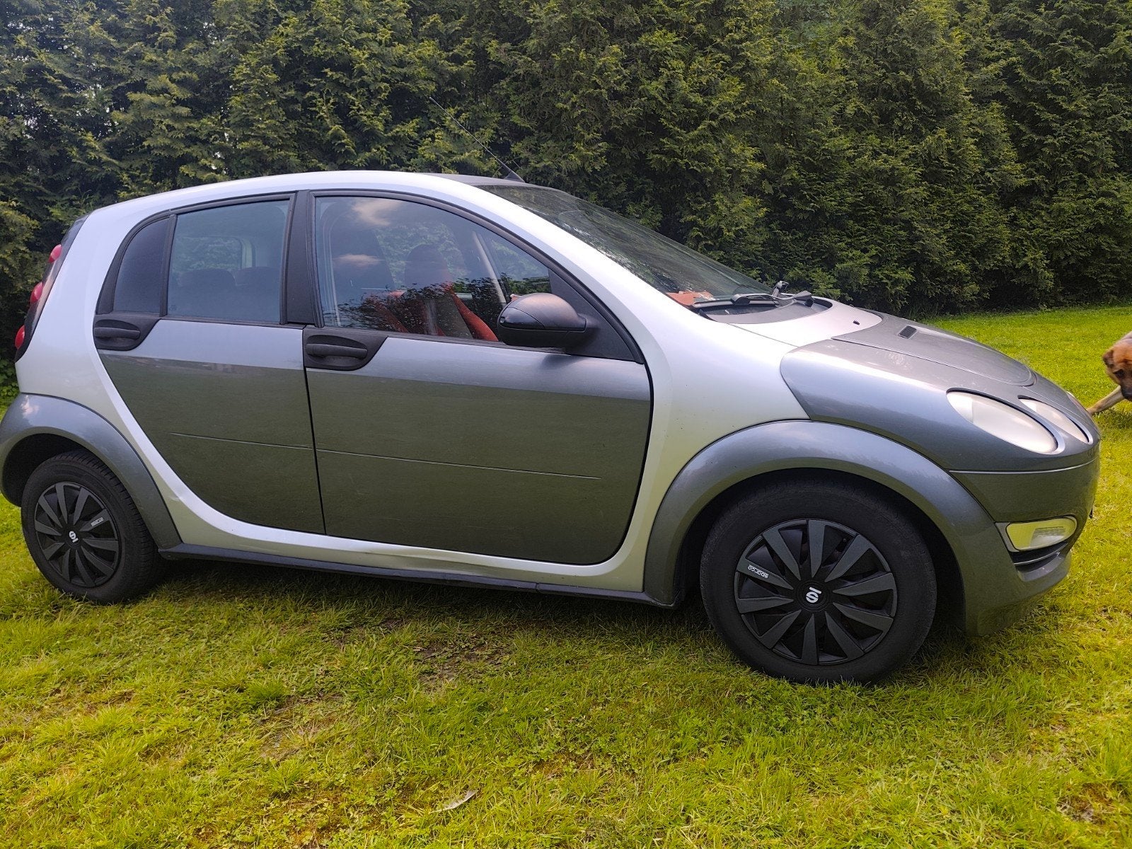 smart Forfour benzine, Autos, Achat, ForFour, 5 portes, Particulier