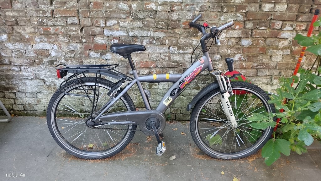 24 inch kinderfiets, Fietsen en Brommers, Ophalen, 20 inch of meer