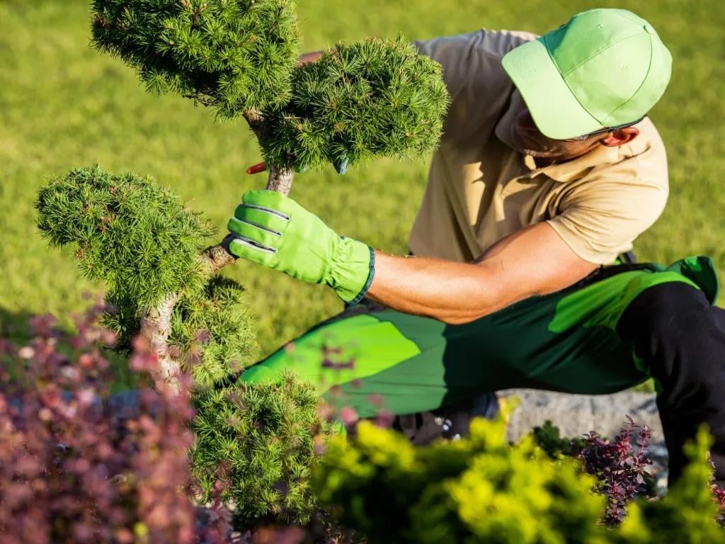 Tuinman beschikbaar – regio Maaseik, Ophalen, Gras