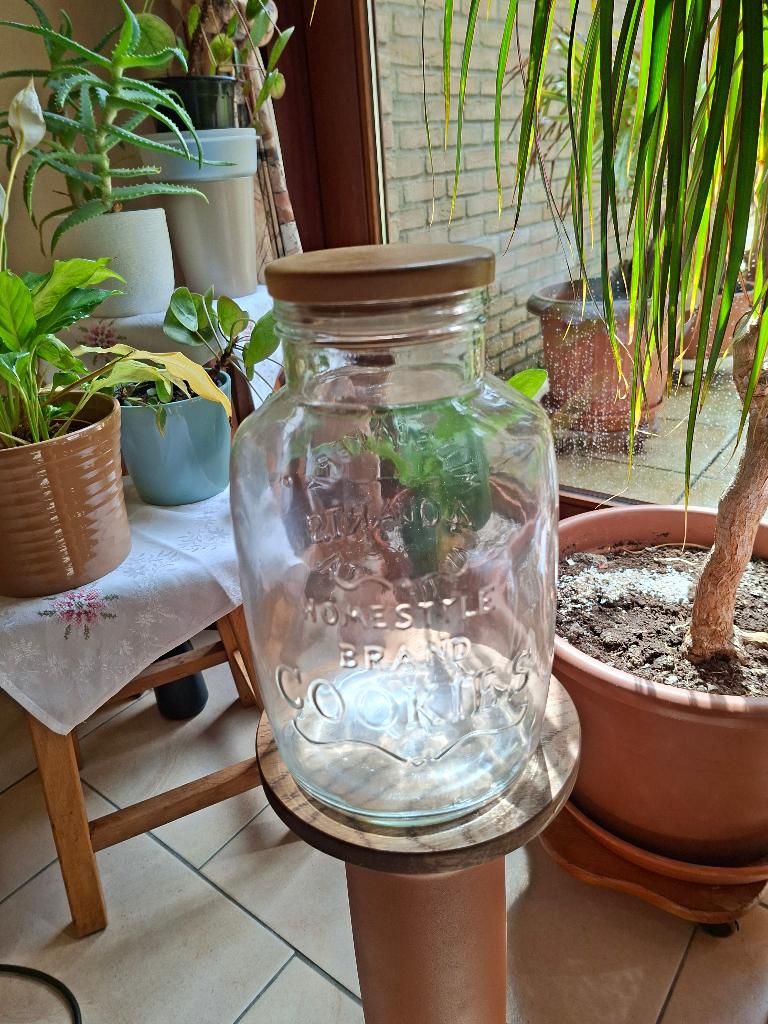 vintage glazen voorraad pot, Huis en Inrichting, Keuken | Potten en Pannen, Zo goed als nieuw, Overige typen, Glas, Ophalen