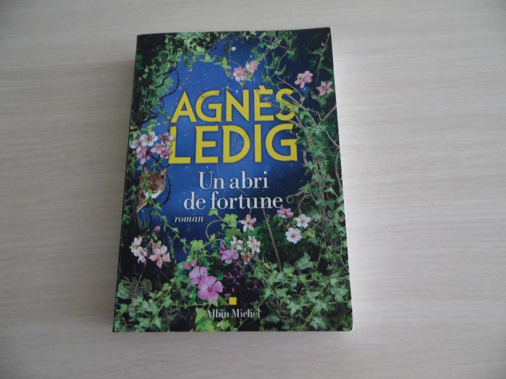 UN ABRI DE FORTUNE      AGNÈS LEDIG, Europa overig, Ophalen of Verzenden, Zo goed als nieuw, Agnès Ledig