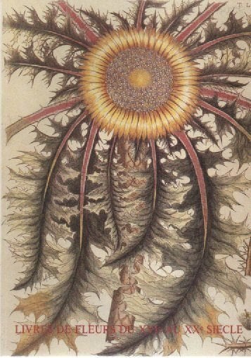 LIVRES DE FLEURS DU XVIe au XXe SIECLE, Boeken, A-M BOGAERT et J. PIRON, Nieuw, Ophalen of Verzenden, Overige onderwerpen