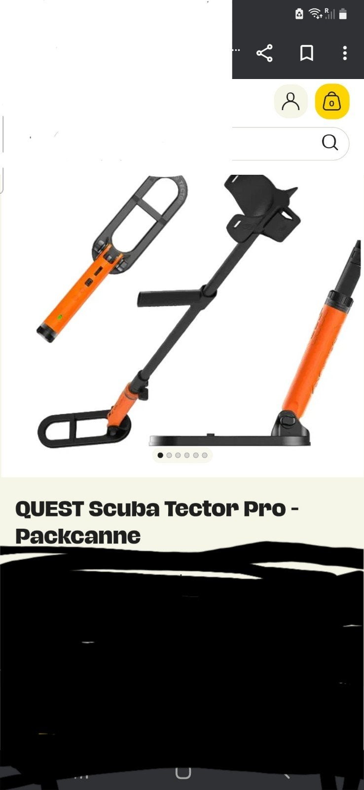 Detecteur de metaux scuba, Enlèvement