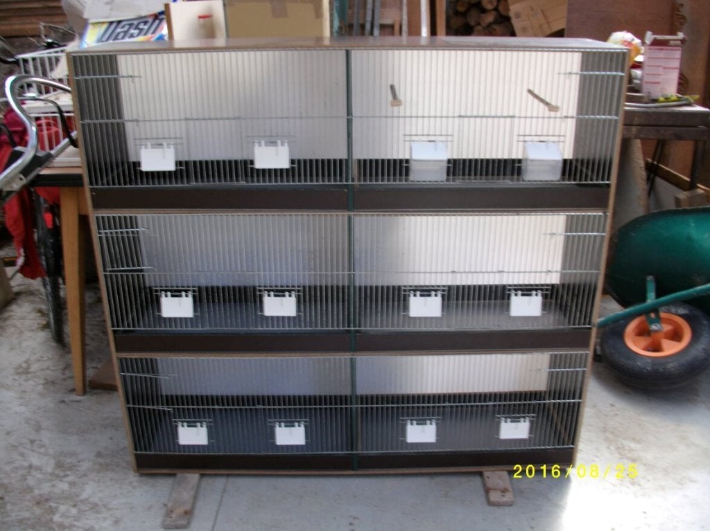 vinkenbakken, Enlèvement, Neuf, Bois, Cage d'élevage