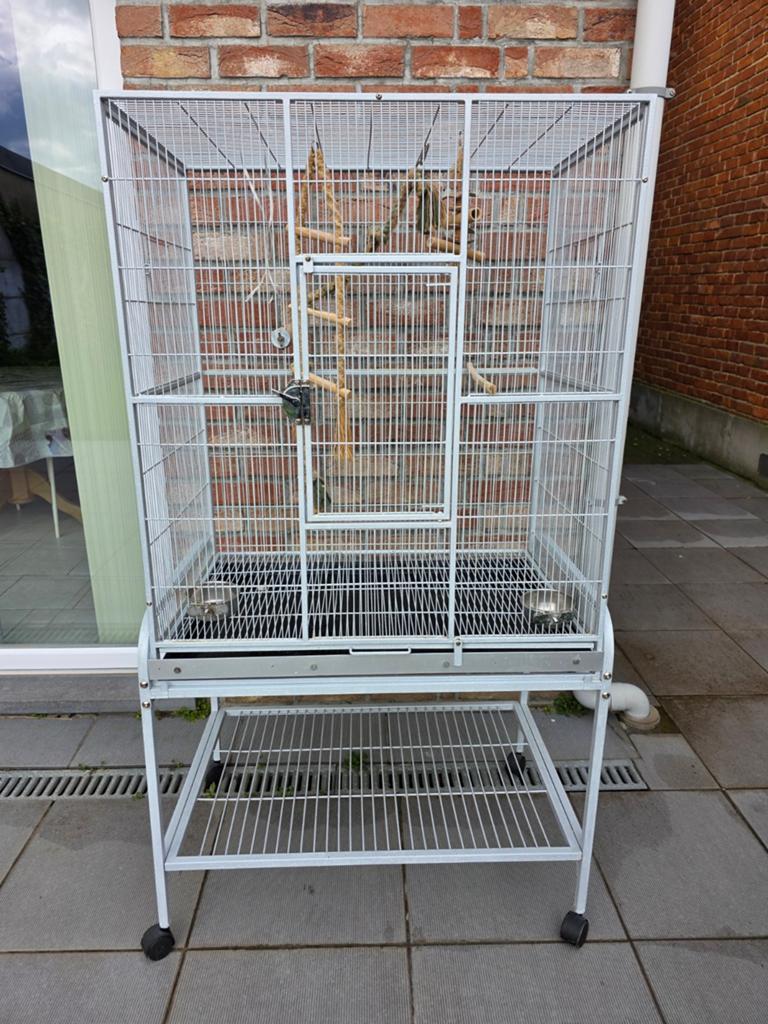Grande cage oiseaux, calopsitte, conure, ..., Enlèvement