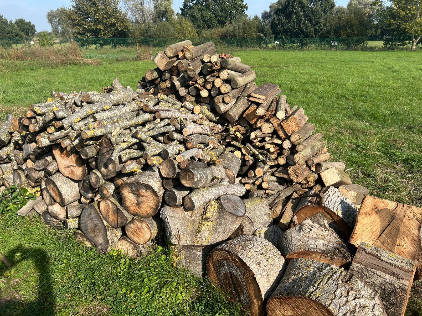 Brandhout van okkernoten boom, Tuin en Terras, Ophalen