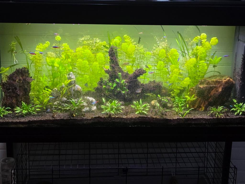 Aquarium 240l, Enlèvement, Chauffage