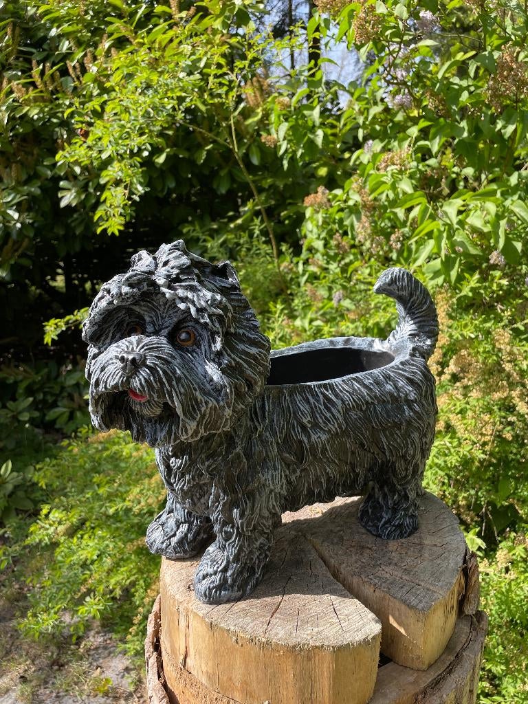 Beeld hond schnauzer plantenbak, tuin, gazon  45cm, Tuin en Terras, Tuinbeelden, Ophalen, Nieuw, Kunststof, Dierenbeeld