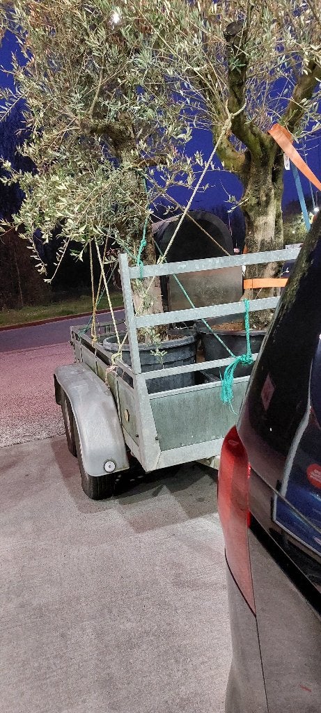 aanhangwagen 2,25 op 1,26, Ophalen, Gebruikt