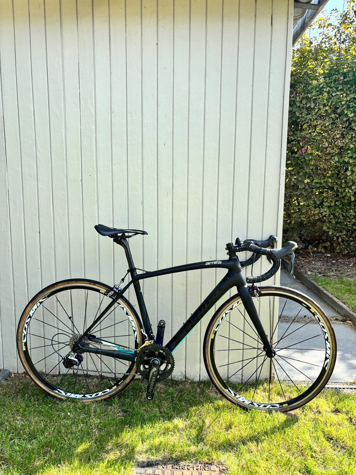 Damesfiets Specialized/S-Works Amira carbon, Ophalen, Gebruikt