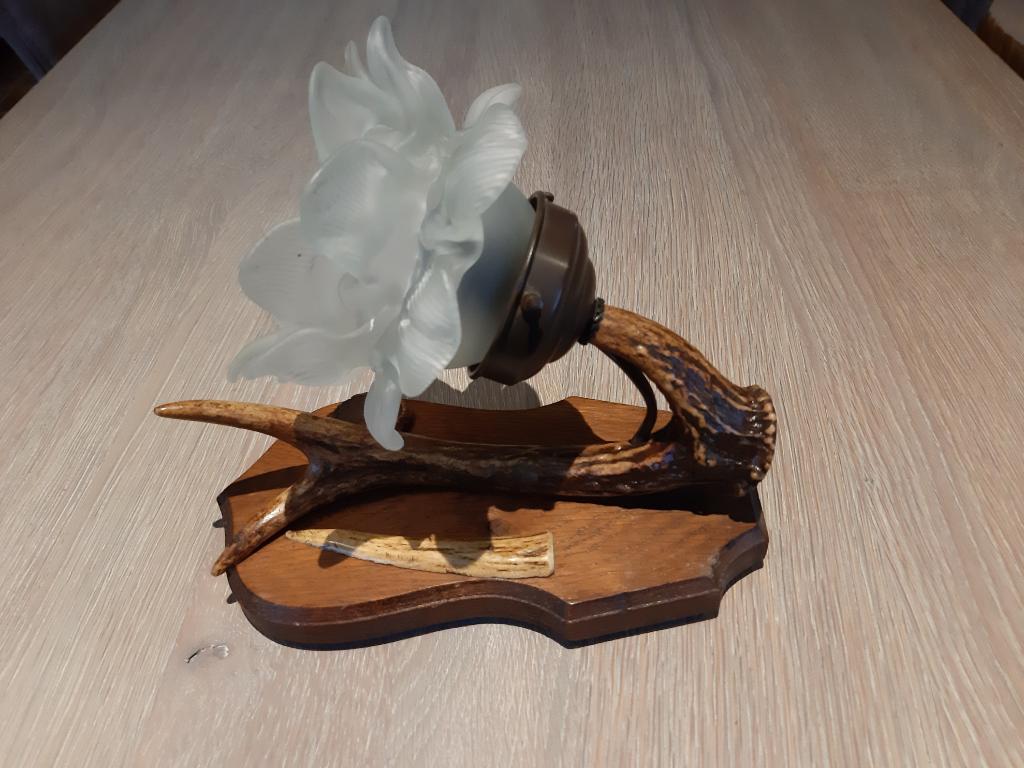 Wandlampje met hertengewei, Ophalen, Zo goed als nieuw