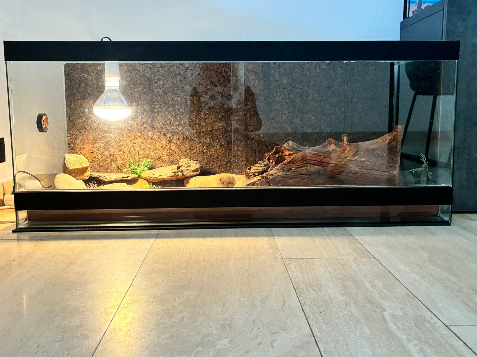 Terrarium - compleet ingericht!, Dieren en Toebehoren, Ophalen, Zo goed als nieuw
