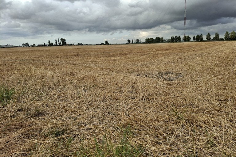 1 ha 85 ares de terres agricoles à louer, Articles professionnels, Enlèvement
